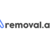 removal.ai